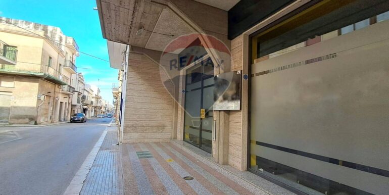 20250318202523-937501-5