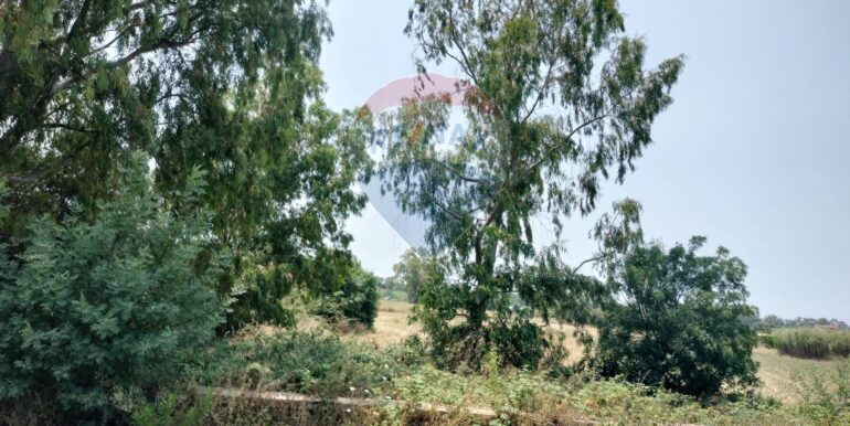 2025031873933-936887-22