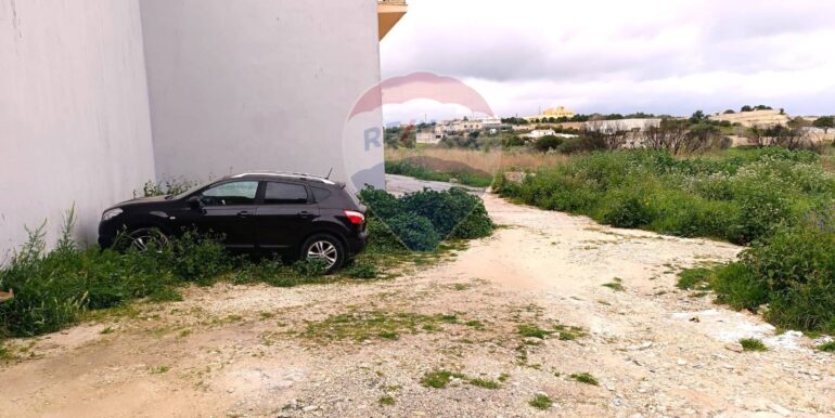 20250319102846-937538-6