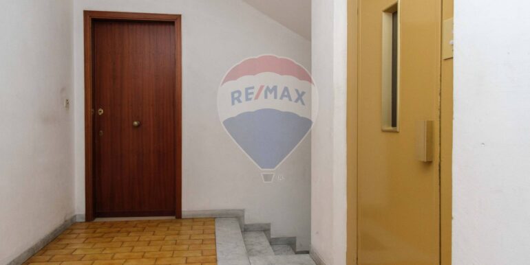 20250324113118-938490-1