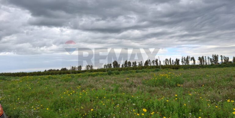 20250330184853-939682-3