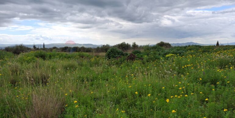 20250330184857-939682-4