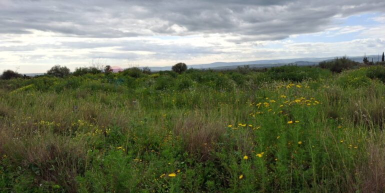 20250330184902-939682-5