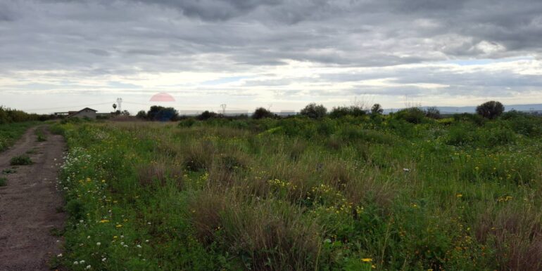 20250330184906-939682-6