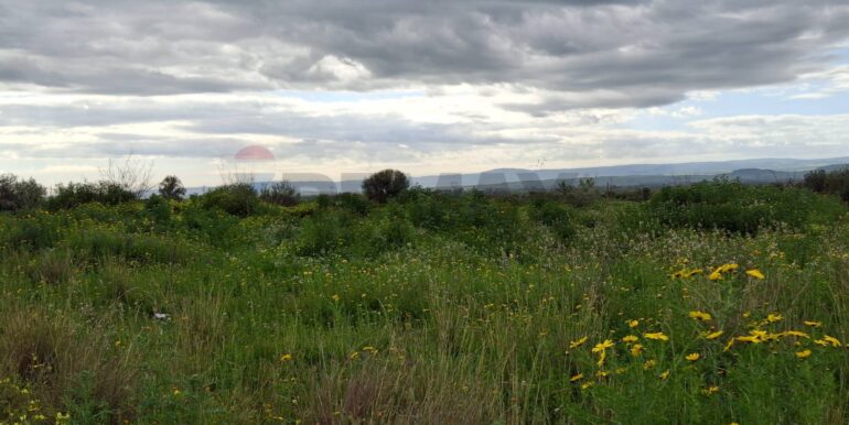 20250330184917-939682-8