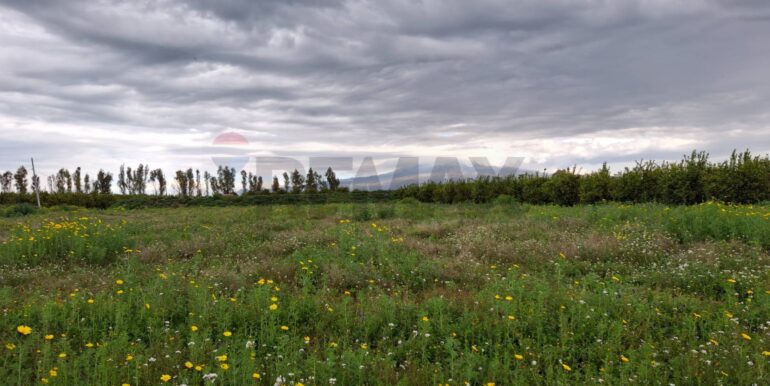 20250330184925-939682-10