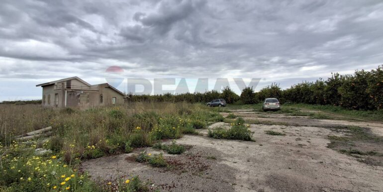 20250330185016-939682-21