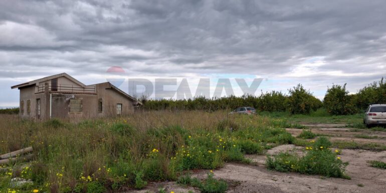 20250330185020-939682-22