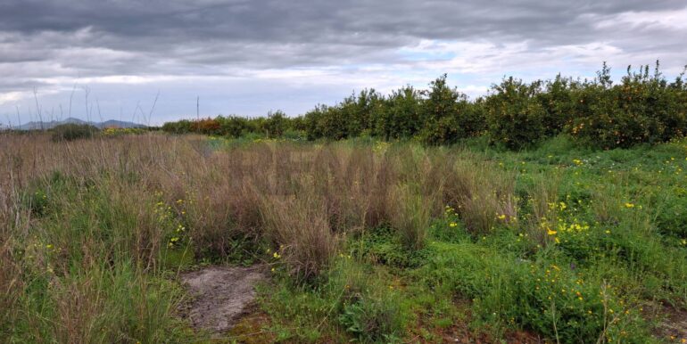 20250330185029-939682-24