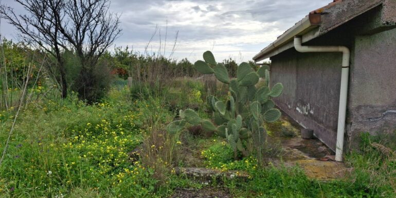 20250330185034-939682-25