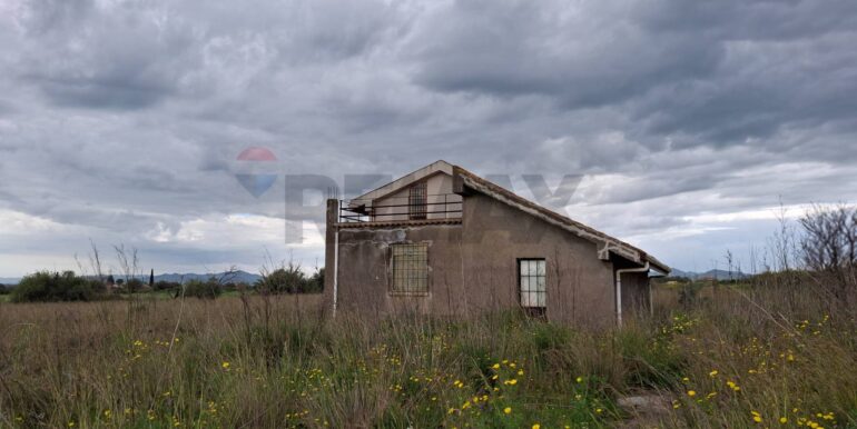 20250330185046-939682-28