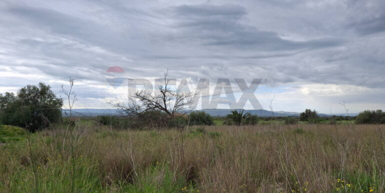 20250330185051-939682-29