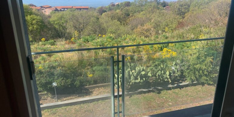 20250331192638-940024-1