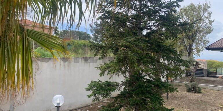 20250331192908-940025-0