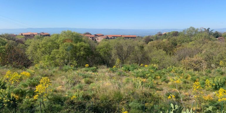 20250331193418-940029-14