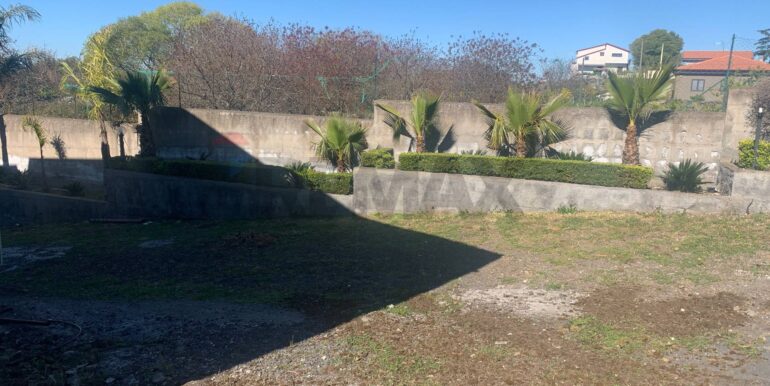 20250331193704-940031-1