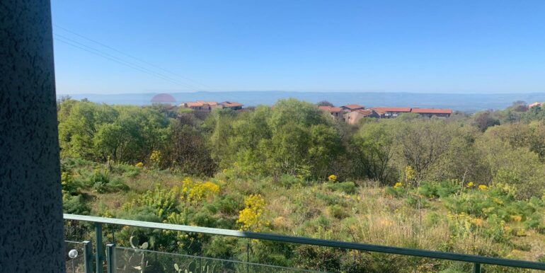 20250331193707-940031-12