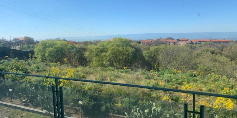 20250401174315-940219-11