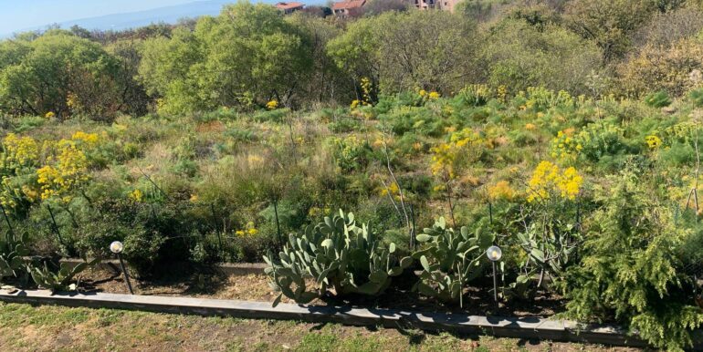 20250401174316-940219-14