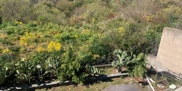 20250401174317-940219-15