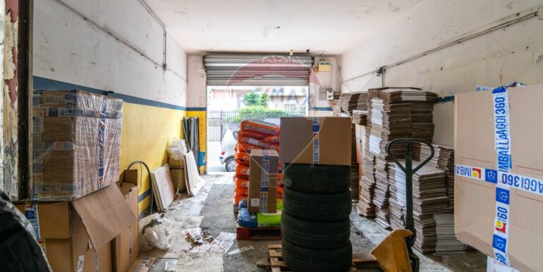 20250402115527-940344-11