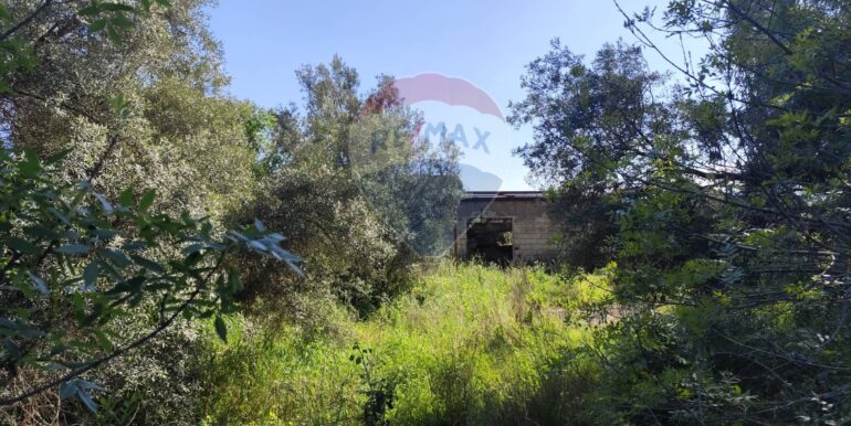 20250402224603-936887-24