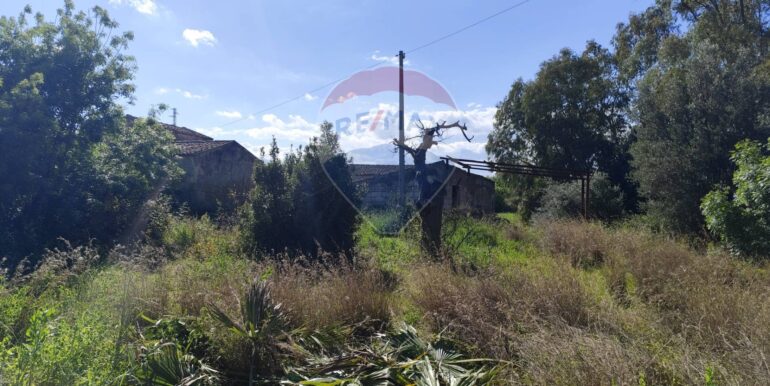 20250402225040-922464-5