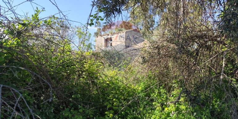 20250402225043-922464-6