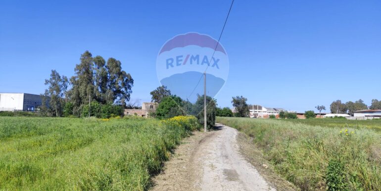 20250402225050-922464-8