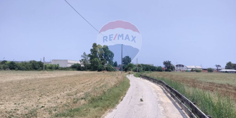 20250402225222-922464-13