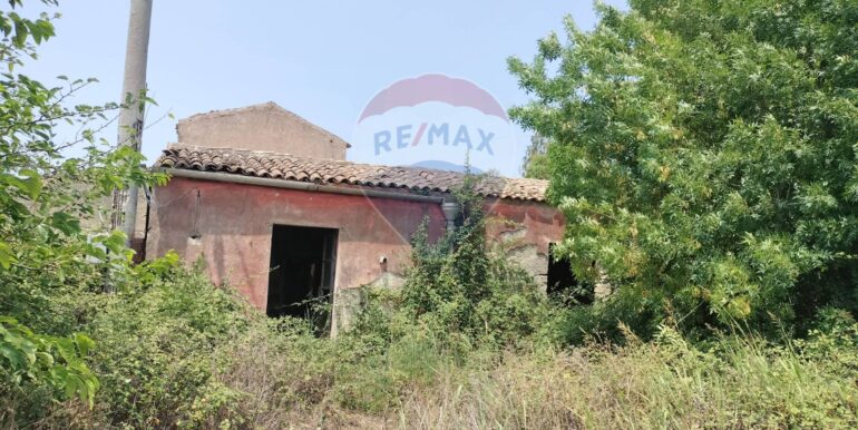 20250402225226-922464-14