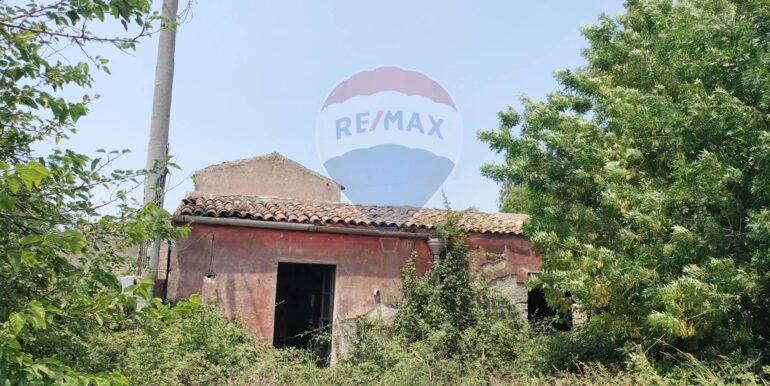 20250402225229-922464-15