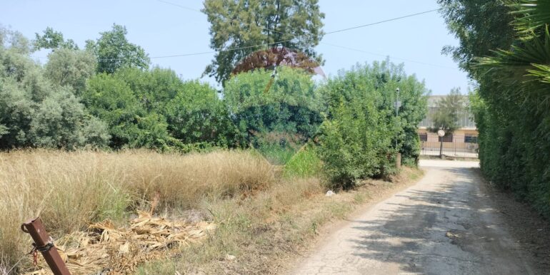 20250402225236-922464-17