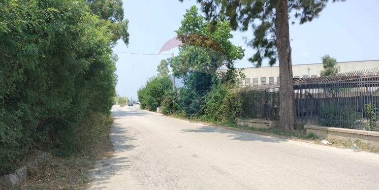 20250402225239-922464-18