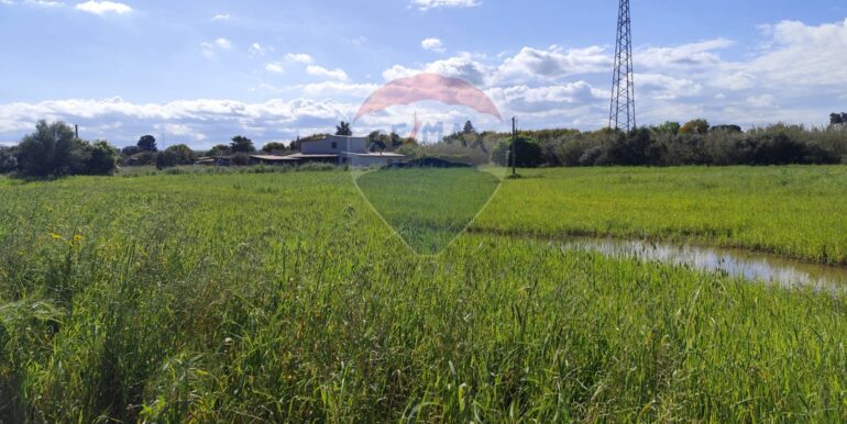 20250402225528-811572-28