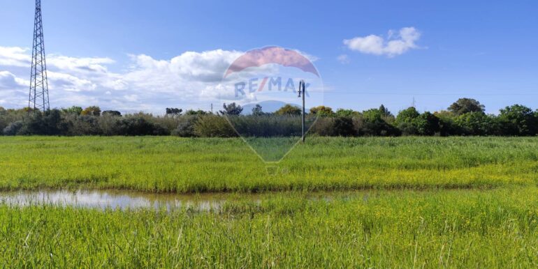 20250402225530-811572-29