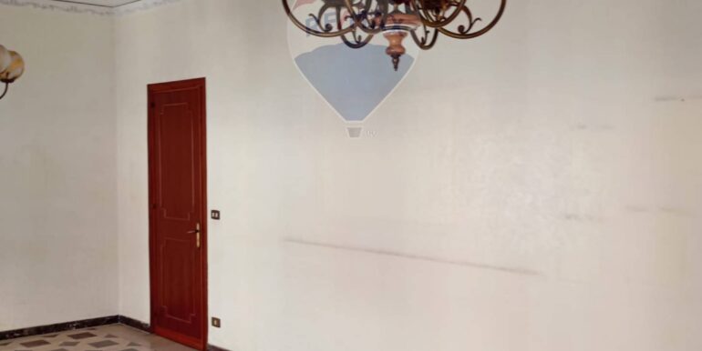 2025040512647-940391-7