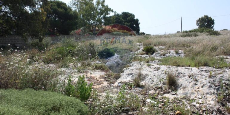 20250408173403-931135-12