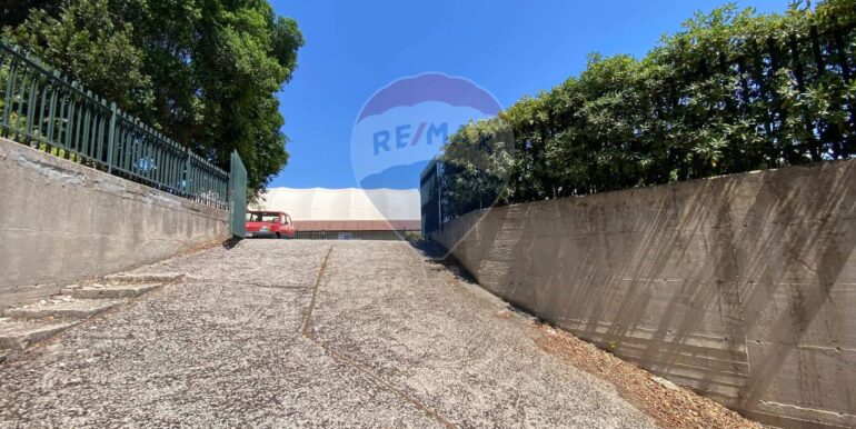 20250416100333-944184-24