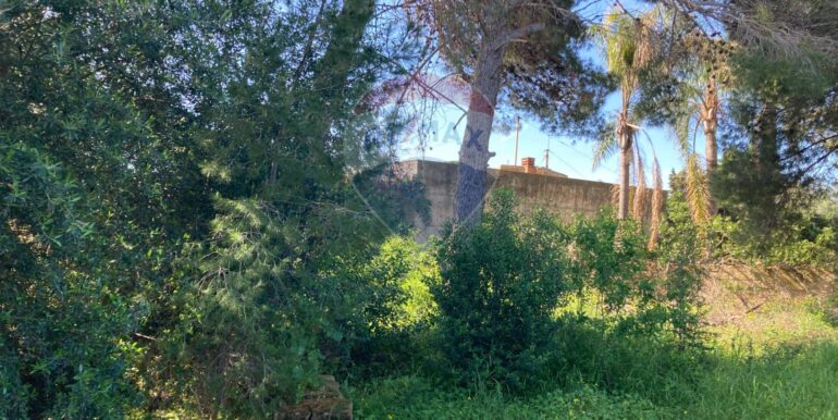 20250416131118-944264-3