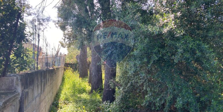 20250416131140-944264-4