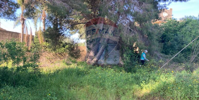 20250416131143-944264-5