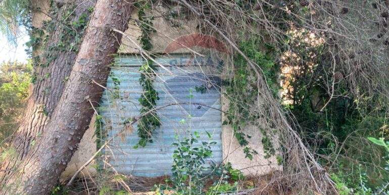 20250416131146-944264-6