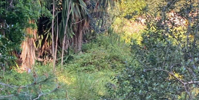 20250416131151-944264-8