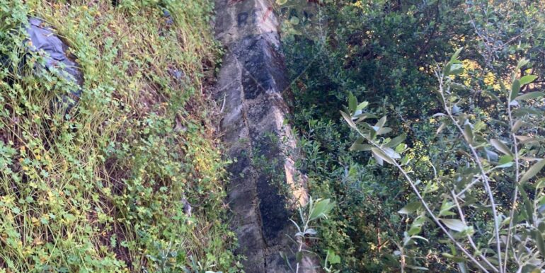 20250416131157-944264-11