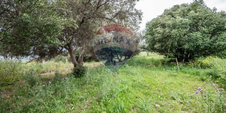 20250418194620-938318-7