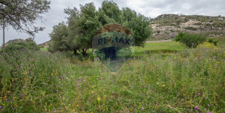 20250418194700-938318-12