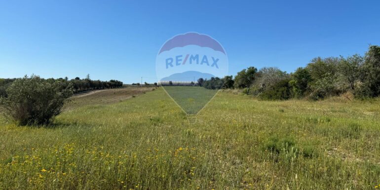 20250422110522-944901-2