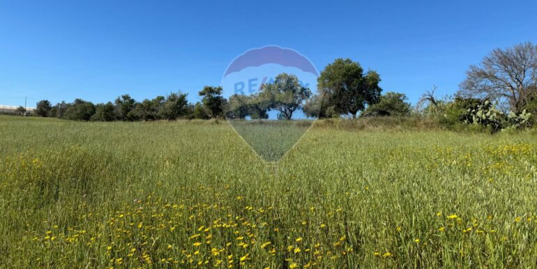 20250422110528-944901-19