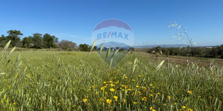 20250422110528-944901-20